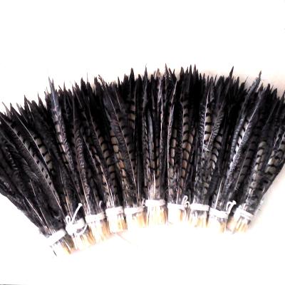 China Wholesale Cheap Natural Feather Garment Featival Decoration 6-8inch 15-20cm Color Lady Amherst Pheasant Tail Feather for sale