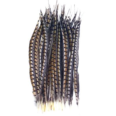 China Wholesale Natural Lady Amherst Pheasant Tail Side Tail Of Headdress Stage Decoration 50-55cm For Party Decoration for sale