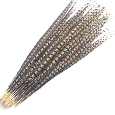 China Pheasants Tail, Lady Amherst Pheasant Decorations 80-90cm Feather Feathers for sale