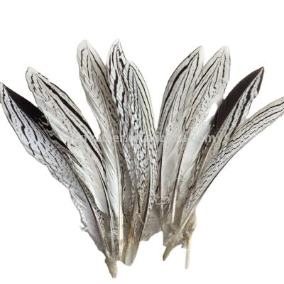 China Cheap white carnival silver pheasant feathers decoration feather accessories china factory supply for decoration for sale