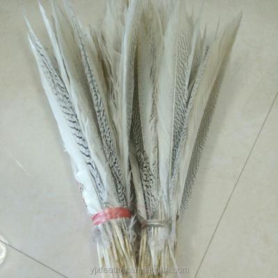 China Factory Price Wholesale Carnival Decorations Decorative Natural White Silver Pheasant Tail Feathers for sale