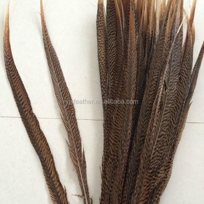 China Party Decorations China Supplier Wholesale Gold Pheasant Cheap Tail Pheasant Feathers for sale