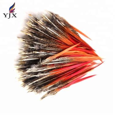 China Decorations wholesale 10-15cm golden pheasant tail feather for decoration for sale