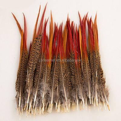 China Pheasant Feather Gold Natural Pheasant Feather Red Arrow For Decoration/Accessories for sale