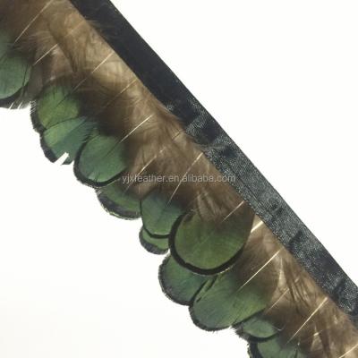 China Pheasant Feather Madame Amherst Pheasant Feather Fringe Natural Green Color 10 yards Trim Pheasant Feather Fringe for sale