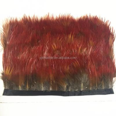 China Natural Pheasant Feather Gold Pheasant Feather Trimming / Feather Fringe Red Gold Ribbon for sale