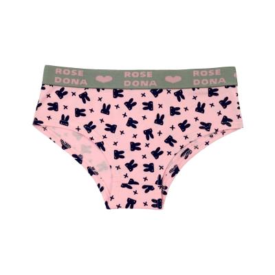 China Hot Sale Breathable Underpants Underwear Young Women Fashion Panties Cotton Panties Hipster Briefs Underwear for sale