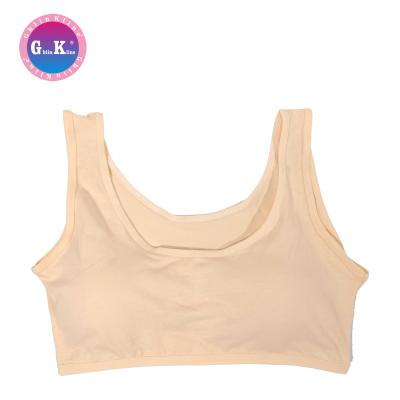 China High quality QUICK DRY underwear for teens, a developmentally appropriate bra for middle and high school girls for sale