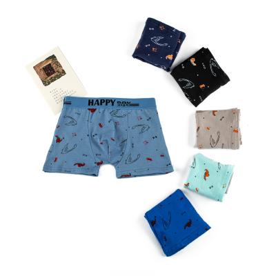 China Breathable Happy Elastic Ribbon Boy Boxer Pants Boy Underwear Dinosaur Print for sale