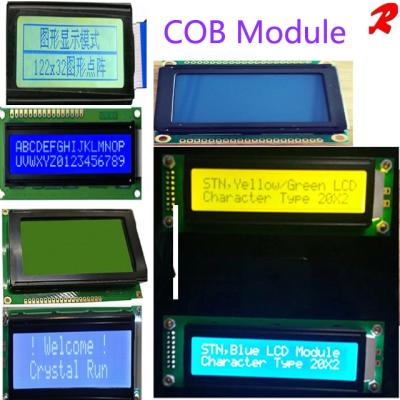 China Manufacture COB LCD Module TN HTN VA STN FSTN Customize LCD Module LCM Display to Customize as you want for sale