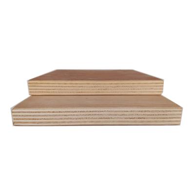 China Modern Plywood For Building Construction Best Price Poplar for sale