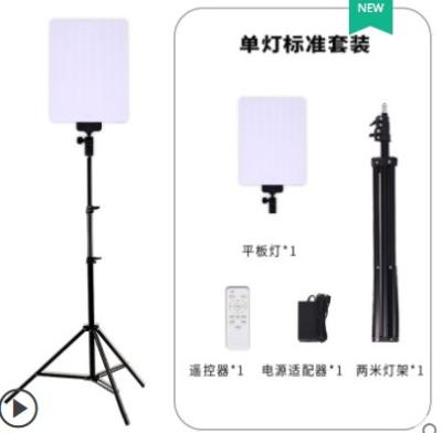 China Portable LED Photography Controller 40w Remote Dimmer Outdoor and Indoor Soft Face Fill Light for Broadcast TV Studio Interview for sale