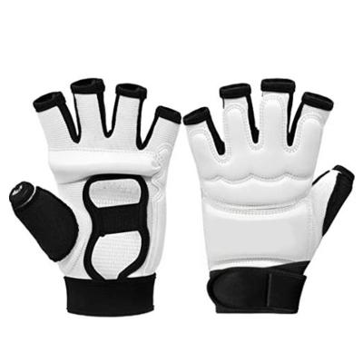 China 2022 Unisex Training Equipment Hand Protector Martial Arts Taekwondo Gloves for sale