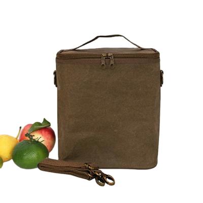 China Washable Reusable Natural Color Kraft Paper Cooler Bag Eco - Friendly Waterproof for sale