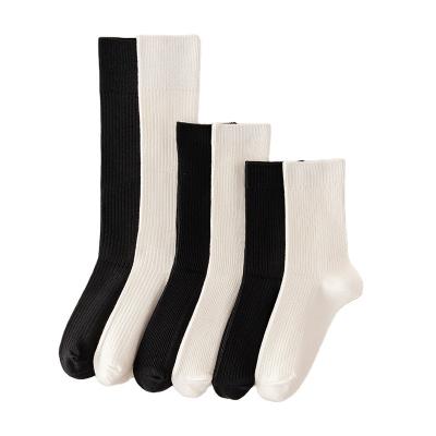 China Women Sporty Ladies Solid Color Socks Double Needles 100% Cotton Women Socks Ladies Black White Socks for sale