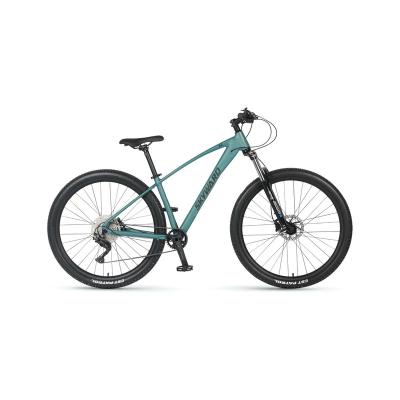 China Aluminum alloy high quality adult bicycle bicicletas 10speed cheap load capacity 160kg mountain bike for sale