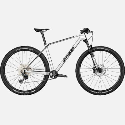 China Carbon Fiber Carbon Fiber Material Including Front Fork Suspension 12 Speed ​​Bicycles For Adults Mountain Bike for sale