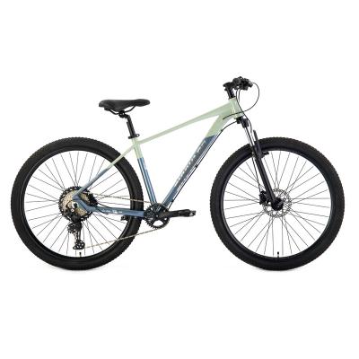 China Hot Selling Neco 29 Inch Aluminum Alloy Supporting Hydraulic Disc Brake Mountain Bike For Unisex for sale