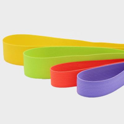 China Other Wholsale Factory PP Polyester Jacquard Rainbow Strap Dog Collar Eco-friendly Printed Nylon Sling Webbing Dye Lines for sale