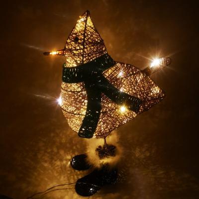 China Cute 3D H53cm 20LED Chicken Metal Decoration LED Decoration Light Holiday Rope Display Light for sale