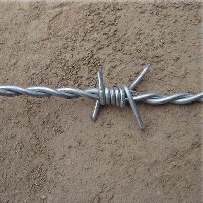 China Iron Wire Electro Galvanized Barbed Wire 5kg-35kg Price Per Roll 100meter-500meter for sale