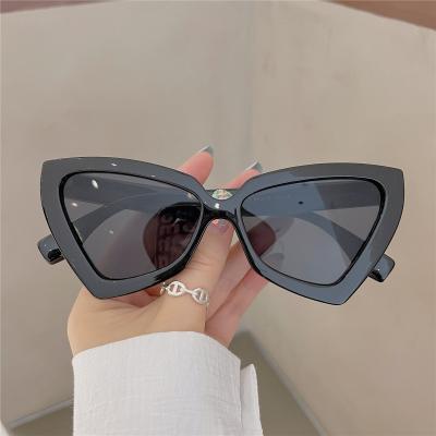 China 2022 wholesale fashion retro newcomer retro cat eye DL glass cat eye triangle sunglasses custom logo drop shipping gafas de sol for sale