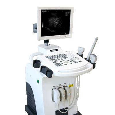 China Small Parts MSK Urology Abdomen GYN OB Selling Ultrasound Machine Price Cardiac Vascular Vet Veterinary Ultrasound Machine for sale