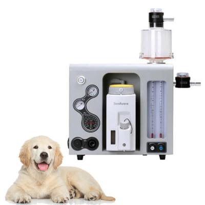 China High Quality Livestock Hospital Medical Veterinary Equipment Portable Handheld Veterinarian Anesthesia Machine For Animal Use for sale