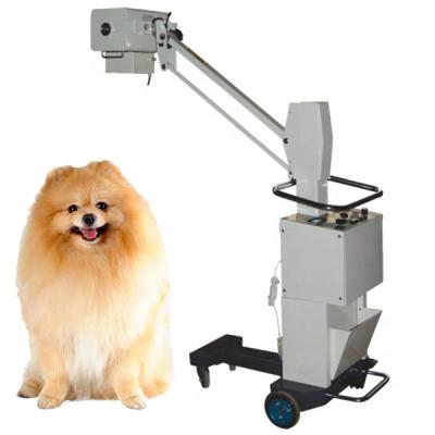 China 50mA Metal Veterinary Veterinary Machine Veterinary X-Ray Machine Animal Mobile X-Ray System for sale