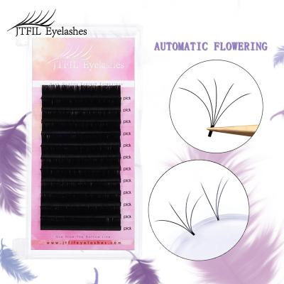 China Jomay Super Soft Self Fanning Easy Fanning Two Layer Flower Volume Eyelash Extensions Fan Lashes Lash Fans for sale