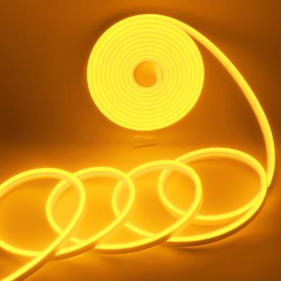 China Water-proof China factory supplied top quality IP67 waterproof 5 meters led rgb 5050 neon lights for christmas lights for sale