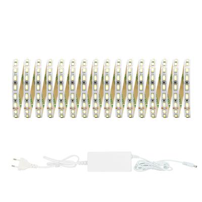 China Home decoration Hight Quality Low Price Flexible Smart Strip Light DC 24V 90leds/meter 5730 Led Strips for other holiday lighting for sale