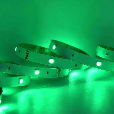 China Home Decroation Factory price Manufacturer Supplier 5050 RGBIC FPC width 8mm 5 10 Meters Smart RGB RGBIC smart led strip light wifi for sale