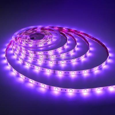 China Home Decroation Hot Sale Professional Lower Price IP20 Waterproof LED Strip Lights Led Strip Light RGB 5050 for Party for sale