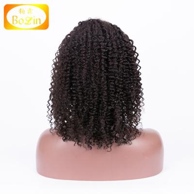 China Silky Straight Wave Unprocessed Cuticle Aligned Virgin Human Hair Raw Burmese Short Afro Kinky Curly Lace Front Wig for sale