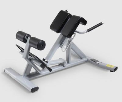 China Commercial Indoor Roman Chair Fitness Equipment Back Extension for Fitness and Bodybuilding Gym Equipment for sale