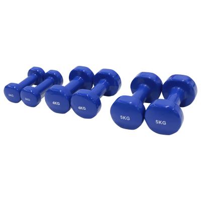 China Home\gym\dip dumbbell manufacturing hex dumbbell set direct weight training sports performance wholesale OEM gym dumbbell plastic cheap weightlifting for sale