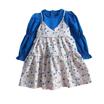 China 2022 Breathable Dress Girls Long Sleeve Princess Dress Little Girl Floral Dress Skirt Children's Clothing for sale