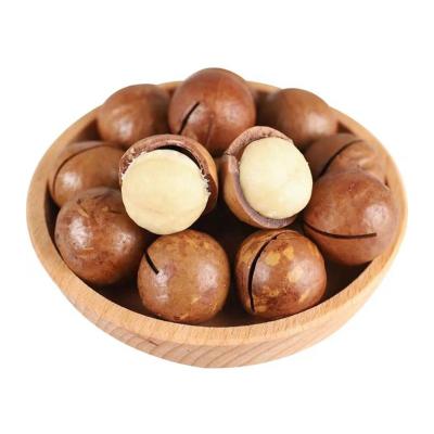 China Fresh Raw materials macadamia in shell or shelled with own planting base and processing factory OEM/ ODM service available 17~26+mm for sale