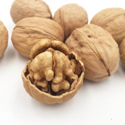 China Original Factory Price Normal Wholesale Paper Thin Natural Chinese Walnuts In Shell Nuts Snacks For Sale for sale