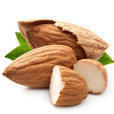 China Natural Hot Sale Desktop Nut Dried Snacks Almond Milky Flavor Almond In Shell for sale