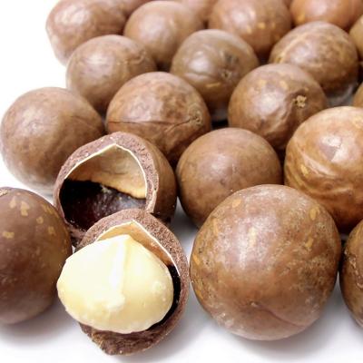 China Factory Wholesale Price Natural Australia Hazel Coffee Flavor Australia Hazel In Bulk Shell Coffee Flavor for sale