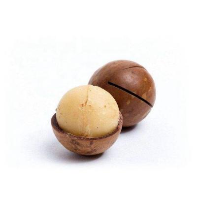 China OEM Service Nutritious Raw Organic Australian Hazel Top Grade Milk Coffee / Wasabi Coconut Customize Flavor Without Shell In Shell for sale