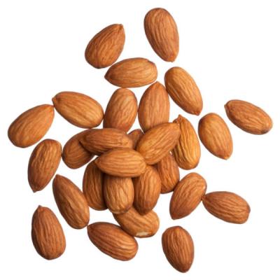 China Natural Health And Nutritious Chinese Almond Nut Kernel Health for sale