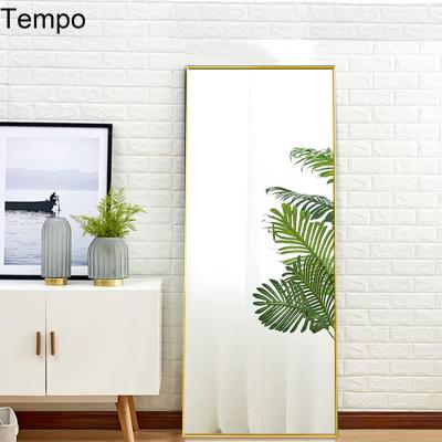 China Modern High Standard Multicolor Free Standing Home Floor Vanity Full Length Mirror for sale