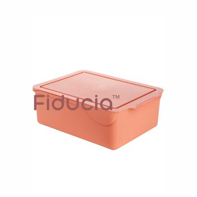 China 2021 Fiducia Amazon Viable Hot Selling Plastic Wardrobe Storage Box With Cover Underwear Bra Bangs Compartment Organization Storage Bin for sale