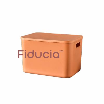 China 2021 Custom Kitchen Containers Small Plastic Storage Box Handle Viable Durable Plastic Bathroom Wardrobe Storage Box Clothes With Lid for sale