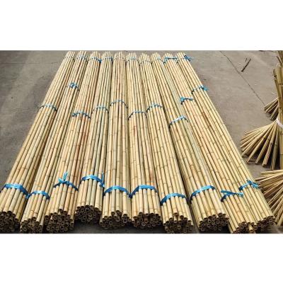 China Sustainable Customize Bamboo Fence for sale