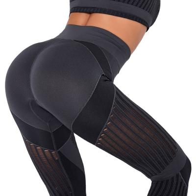 China Quick-Drying Hole Mesh Yoga Workout Fitness Yoga Pants Fitness Suit Breathable Striped Seamless Women Gaiters Seamless Yoga Pants for sale