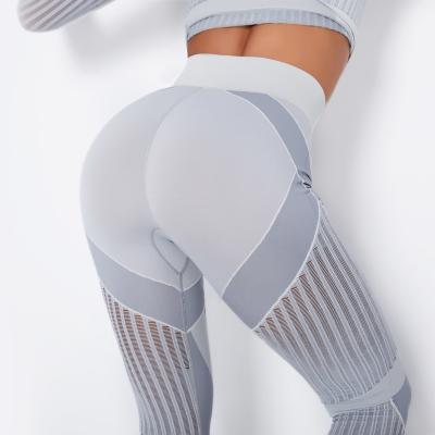 China Quick-Dry Mesh Hole Mesh Fitness Pants Striped Exercise Breathable Seamless Yoga Long Sleeve Leggings Dropshipping Seamless Leggings for sale